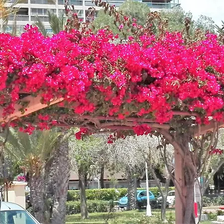 Holiday home Laderas Del Sol *